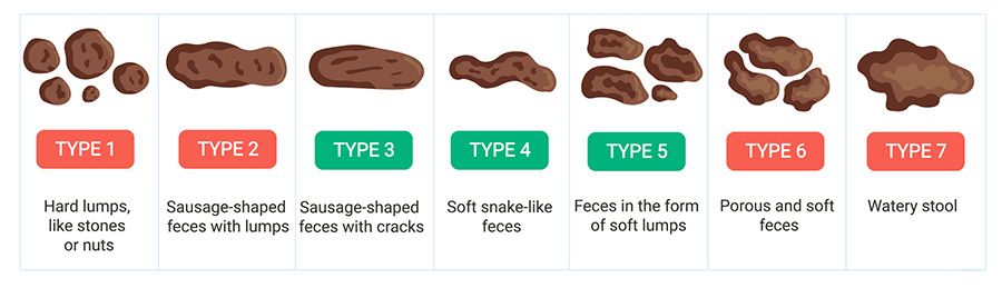 Bristol Stool Scale